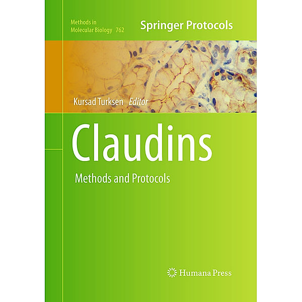 Claudins