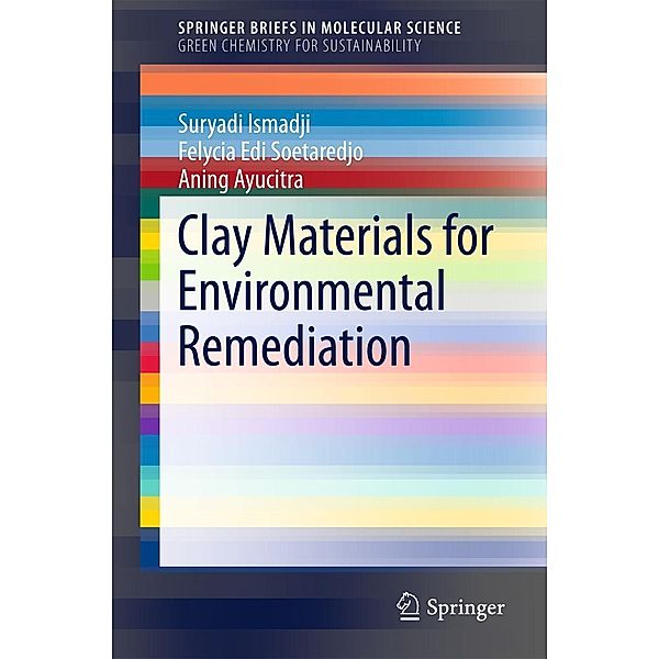 Clay Materials for Environmental Remediation / SpringerBriefs in Molecular Science, Suryadi Ismadji, Felycia Edi Soetaredjo, Aning Ayucitra