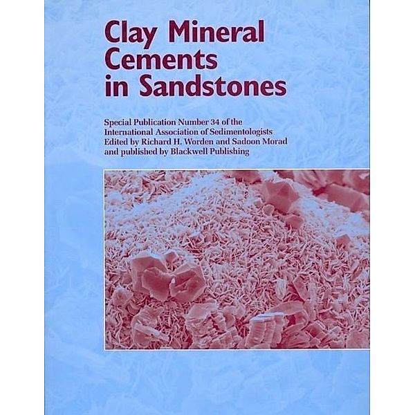 Clay Mineral Cements in Sandstones / International Association Of Sedimentologists Series