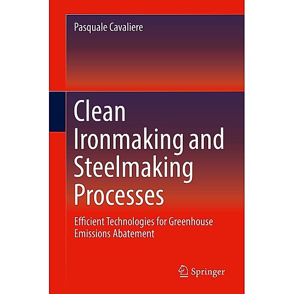 Clean Ironmaking and Steelmaking Processes, Pasquale Cavaliere