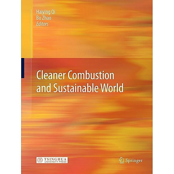 Cleaner Combustion and Sustainable World