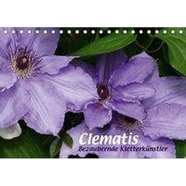 Clematis - Bezaubernde Kletterkünstler (Tischkalender 2020 DIN A5 quer), Brigitte Niemela