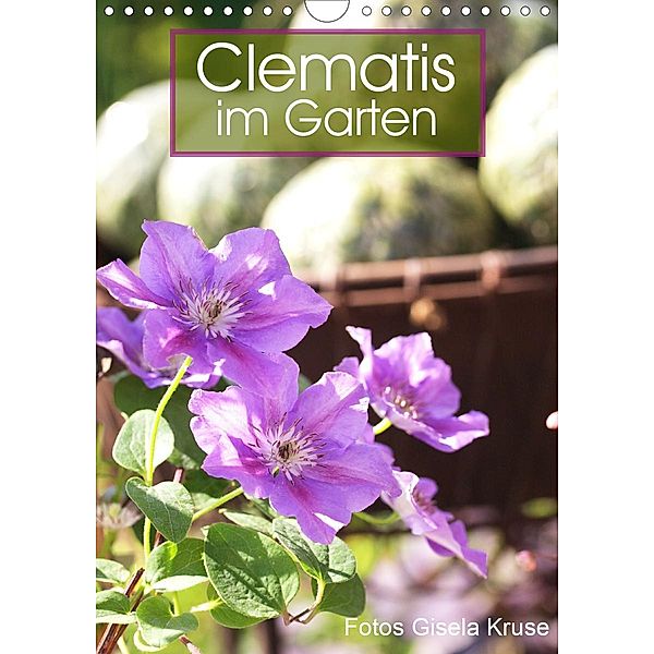 Clematis im Garten (Wandkalender 2021 DIN A4 hoch), Gisela Kruse