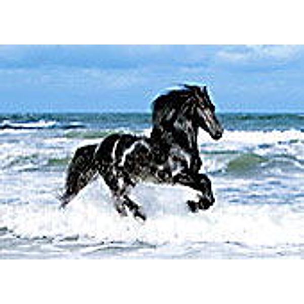 Clementoni Puzzle - High Quality Collection Black Horse, 500 Teile