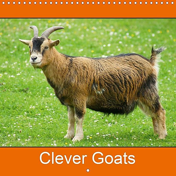 Clever Goats (Wall Calendar 2021 300 × 300 mm Square)