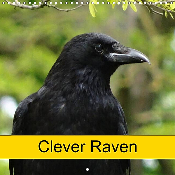 Clever Raven (Wall Calendar 2023 300 × 300 mm Square), Kattobello