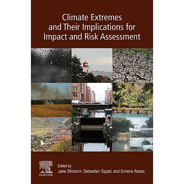 Climate Extremes and Their Implications for Impact and Risk Assessment