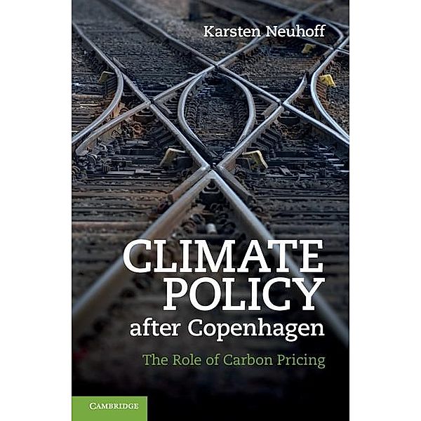 Climate Policy after Copenhagen, Karsten Neuhoff