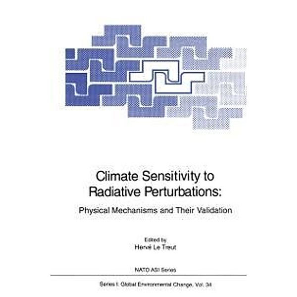 Climate Sensitivity to Radiative Perturbations / Nato ASI Subseries I: Bd.34