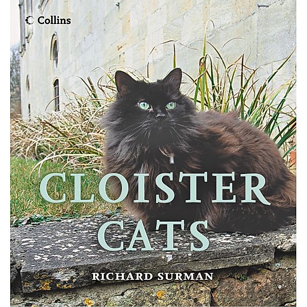 Cloister Cats, Richard Surman