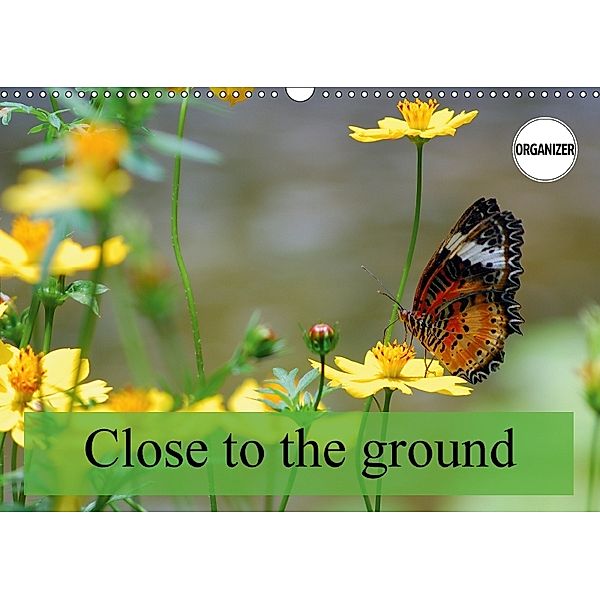 Close to the ground (Wall Calendar 2018 DIN A3 Landscape), Alain Gaymard