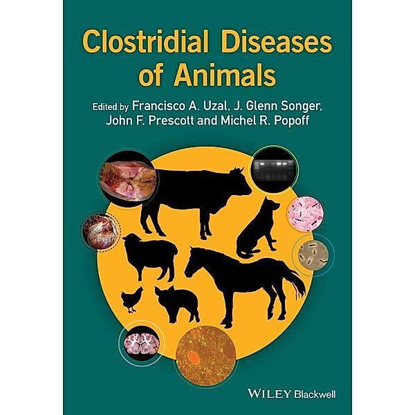 Clostridial Diseases of Animals