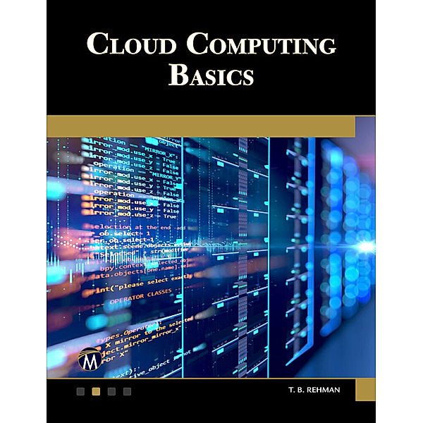 Cloud Computing Basics, T. B. Rehman