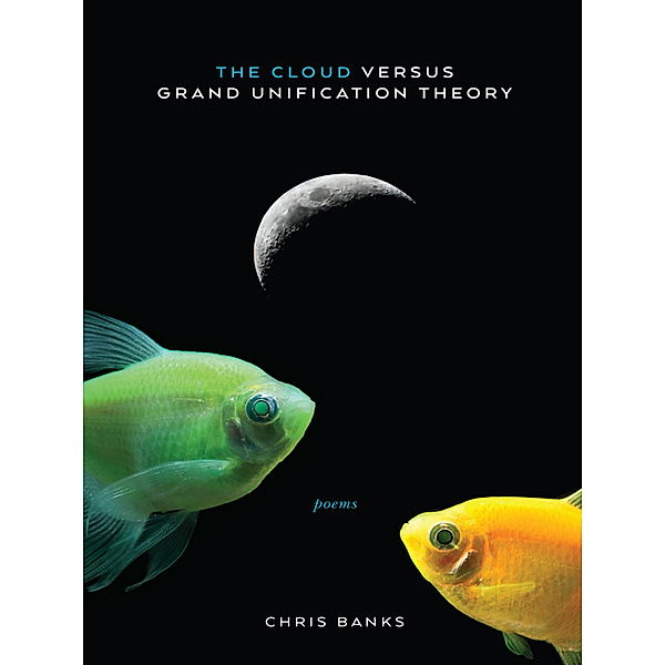 Cloud Versus Grand Unification Theory, Chris Banks