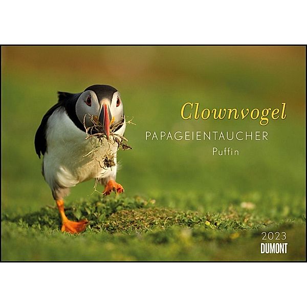 Clownvogel Papageientaucher 2023 - Wandkalender - Format 42 x 29,7 cm - Mit Spiralbindung