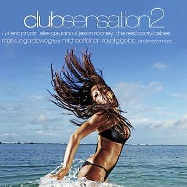 Club Sensation Vol.2, Diverse Interpreten