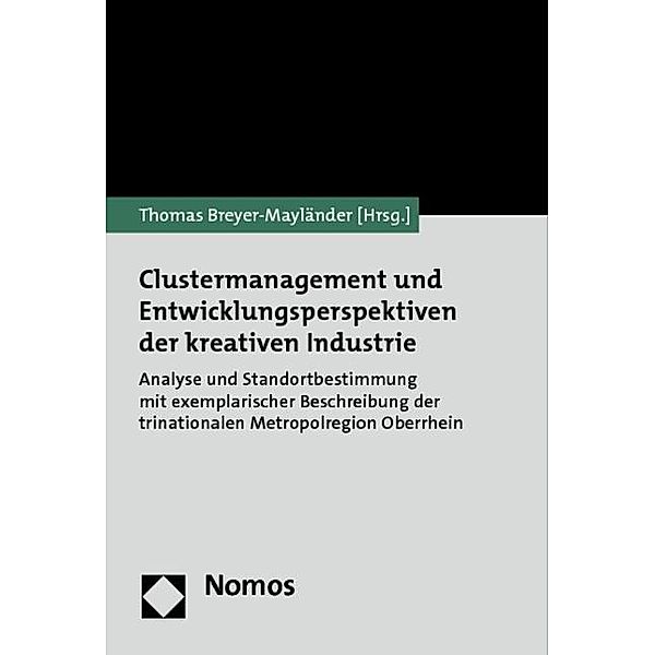 Clustermanagement und Entwicklungsperspektiven der kreativen Industrie