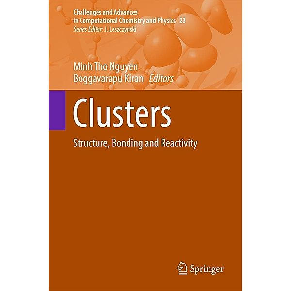 Clusters / Challenges and Advances in Computational Chemistry and Physics Bd.23