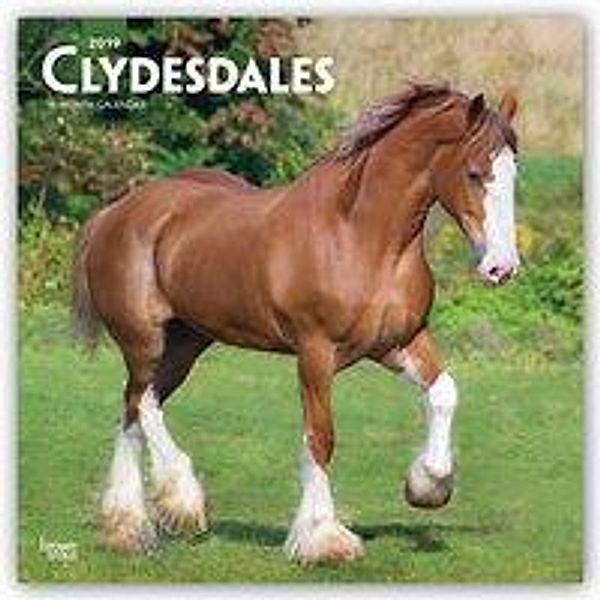 Clydesdales 2019 Square, Inc Browntrout Publishers