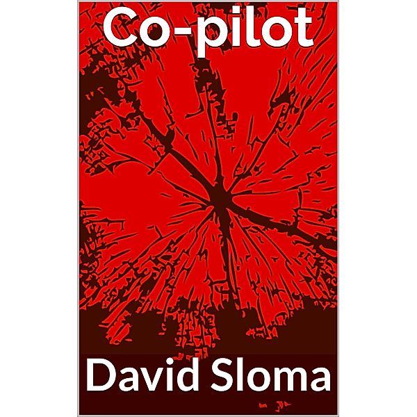 Co-pilot, David Sloma