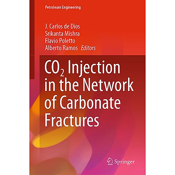 CO2 Injection in the Network of Carbonate Fractures