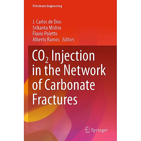 CO2 Injection in the Network of Carbonate Fractures