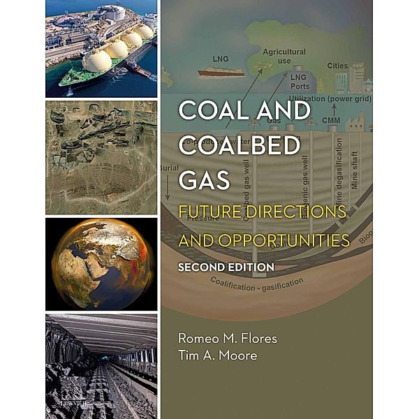Coal and Coalbed Gas, Romeo M. Flores, Tim A. Moore