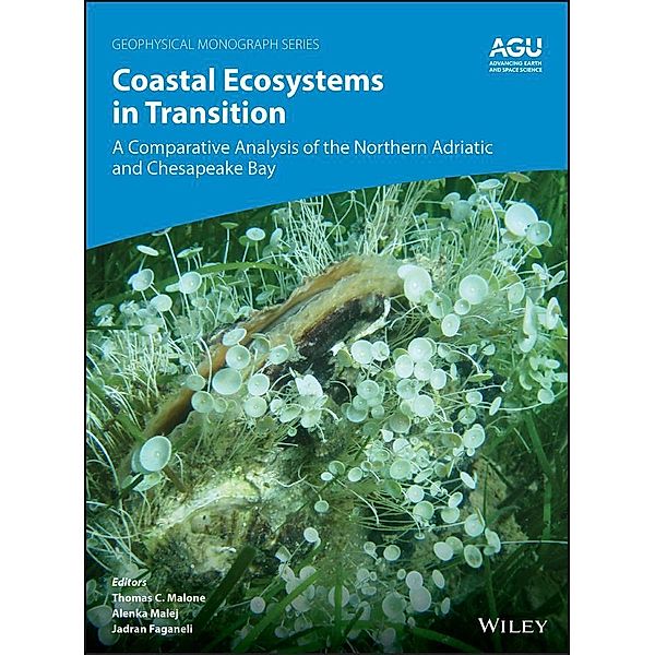 Coastal Ecosystems in Transition / Geophysical Monograph Series Bd.256