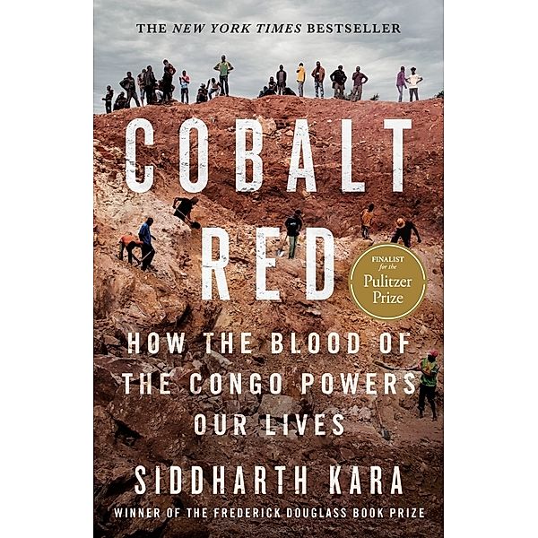 Cobalt Red, Siddharth Kara