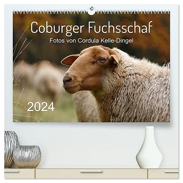 Coburger Fuchsschaf (hochwertiger Premium Wandkalender 2024 DIN A2 quer), Kunstdruck in Hochglanz, Cordula Kelle-Dingel