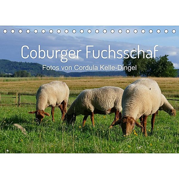 Coburger Fuchsschaf (Tischkalender 2022 DIN A5 quer), Cordula Kelle-Dingel