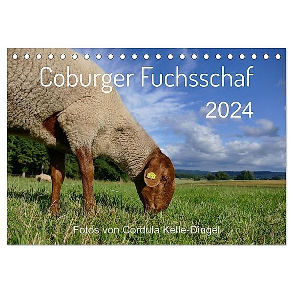 Coburger Fuchsschaf (Tischkalender 2024 DIN A5 quer), CALVENDO Monatskalender, Cordula Kelle-Dingel