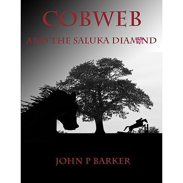 Cobweb And The Saluka Diamond (Cobweb The Ghost Horse, #2) / Cobweb The Ghost Horse, John P Barker