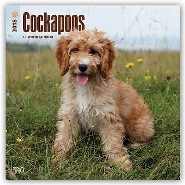 Cockapoos 2018, BrownTrout Publisher