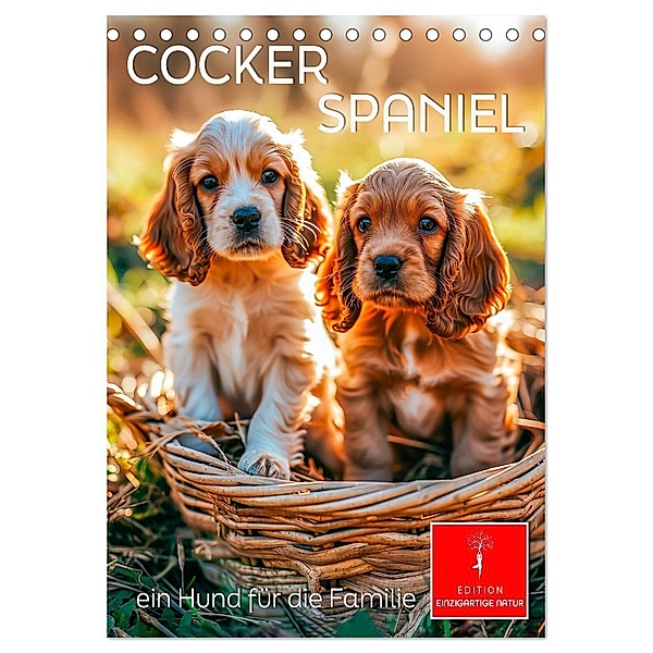Cocker Spaniel - ein Hund für die Familie (Tischkalender 2025 DIN A5 hoch), CALVENDO Monatskalender, Calvendo, Peter Roder