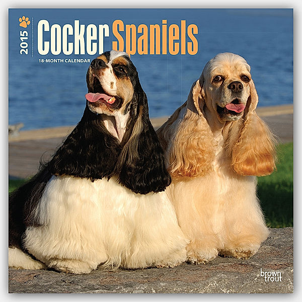 Cocker Spaniels, Broschürenkalender 2015