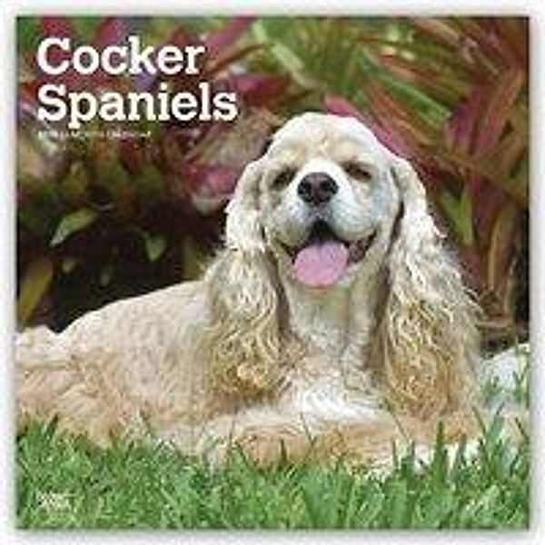 Cocker Spaniels - Cockerspaniels 2019 - 18-Monatskalender mi