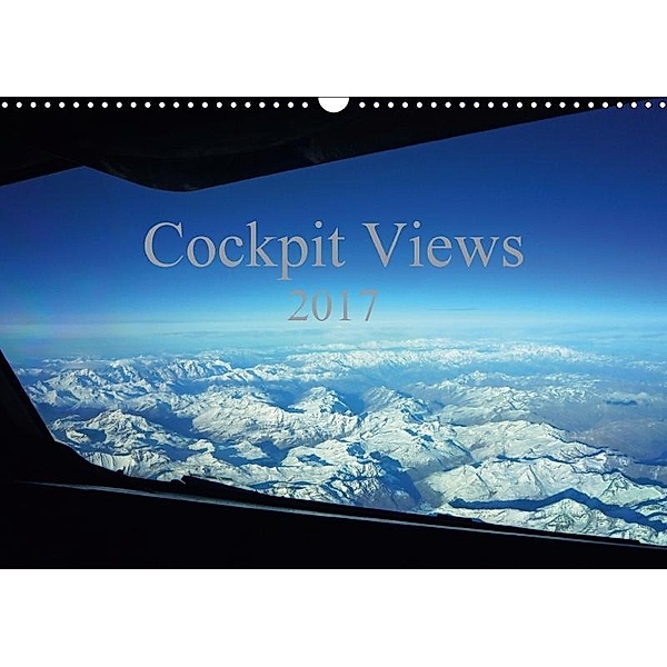 Cockpit Views 2017 (Wall Calendar 2017 DIN A3 Landscape), Cyrus Sadri