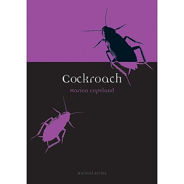 Cockroach, Marion Copeland