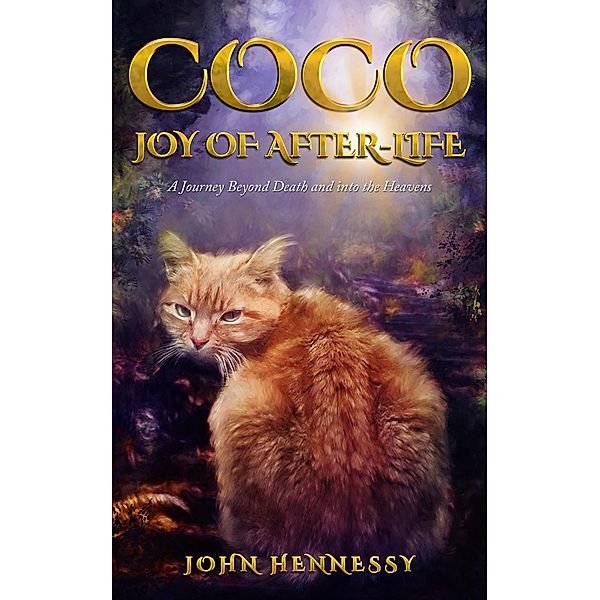 Coco: Joy of After-Life (A Journey Beyond Death and into the Heavens), John Hennessy