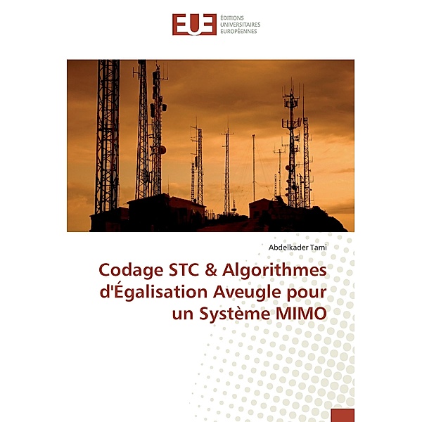 Codage STC & Algorithmes d'Égalisation Aveugle pour un Système MIMO, Abdelkader Tami