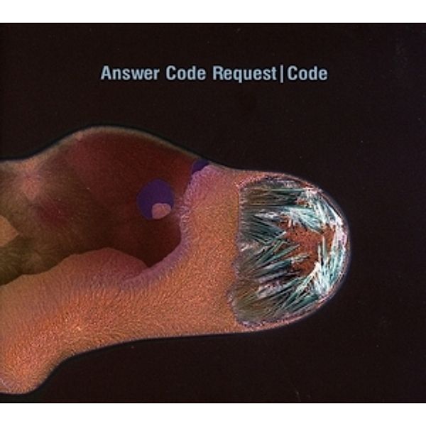 Code, Answer Code Request