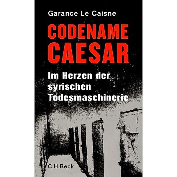 Codename Caesar, Garance Le Caisne