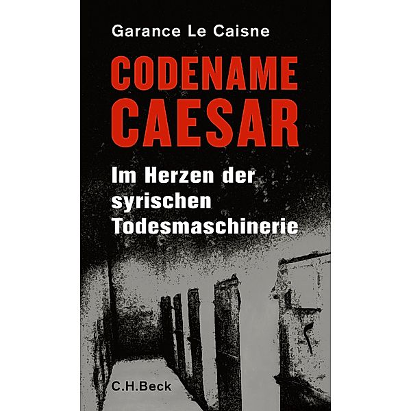 Codename Caesar, Garance Le Caisne