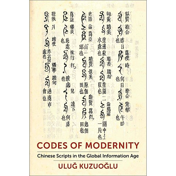 Codes of Modernity, Ulug Kuzuoglu