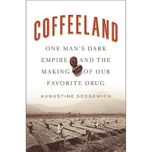 Coffeeland, Augustine Sedgewick