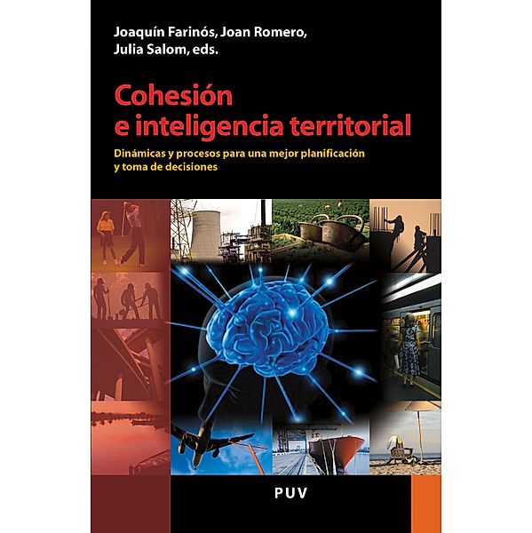 Cohesión e inteligencia territorial / Desarrollo Territorial Bd.7, Autores Varios