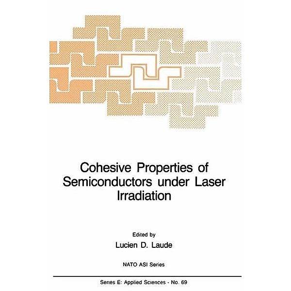 Cohesive Properties of Semiconductors under Laser Irradiation / NATO Science Series E: Bd.69