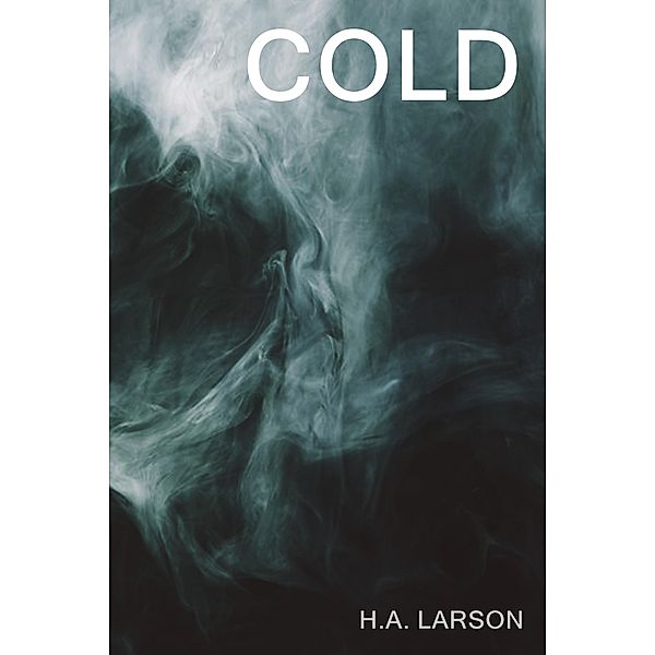 Cold:  A Ghostly Tale of Revenge, H. A. Larson