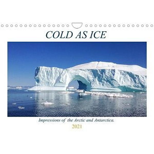 Cold as Ice - Impressions of the Arctic and Antarctica (Wall Calendar 2021 DIN A4 Landscape), ALOHA Publishing